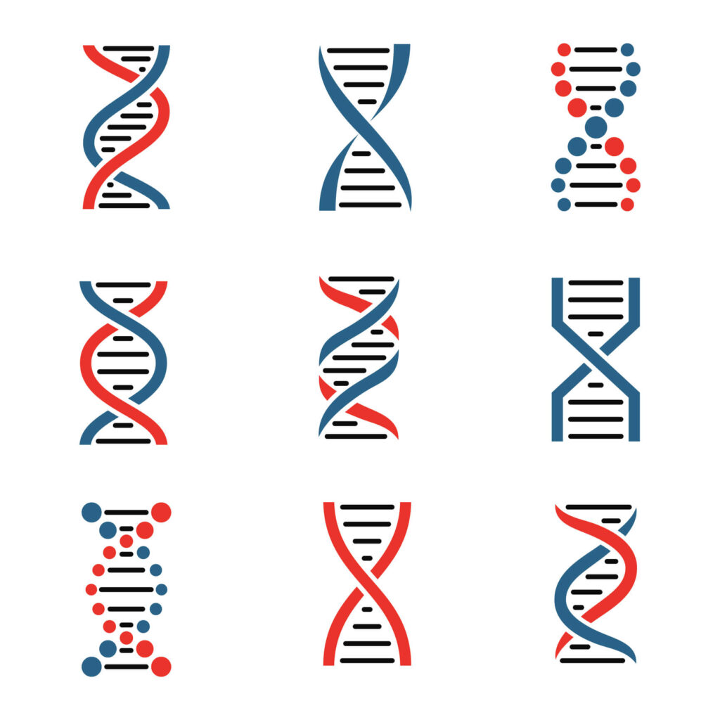 Illustration icons of different genetic variations that can affect individual nutrient absorption and metabolism.